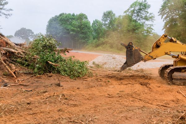 Ground Clearing in Wichita Falls
