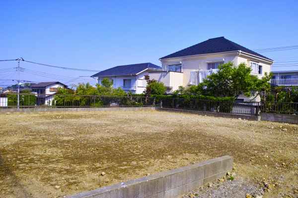Cost of Lot Clearing Service in Wichita Falls