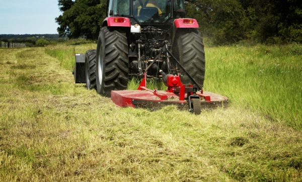 Brush Clearing Service in Wichita Falls