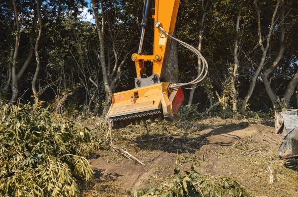 Brush Removal Service in Wichita Falls