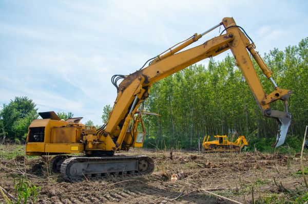 Cost of Farm Clearing in Wichita Falls