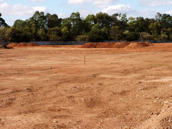 Cost of Field Clearing in Wichita Falls