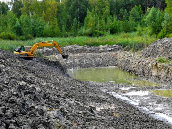 Cost of Lake Lot Clearing in Wichita Falls
