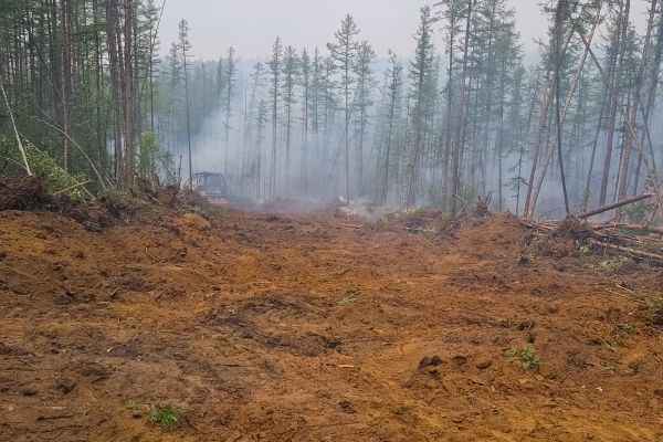Cost of Hill Clearing in Wichita Falls