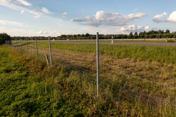 Cost of Property Line Clearing in Wichita Falls