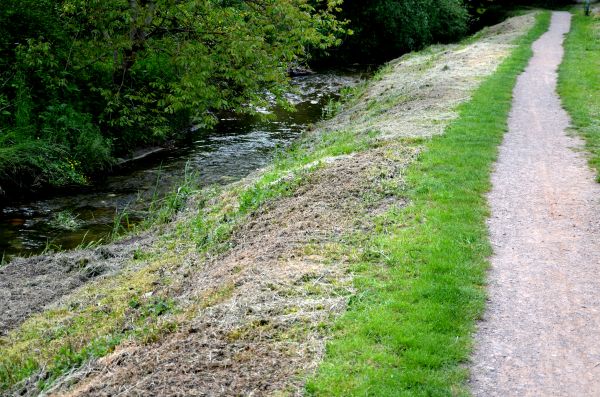 Cost of Trail Cutting in Wichita Falls