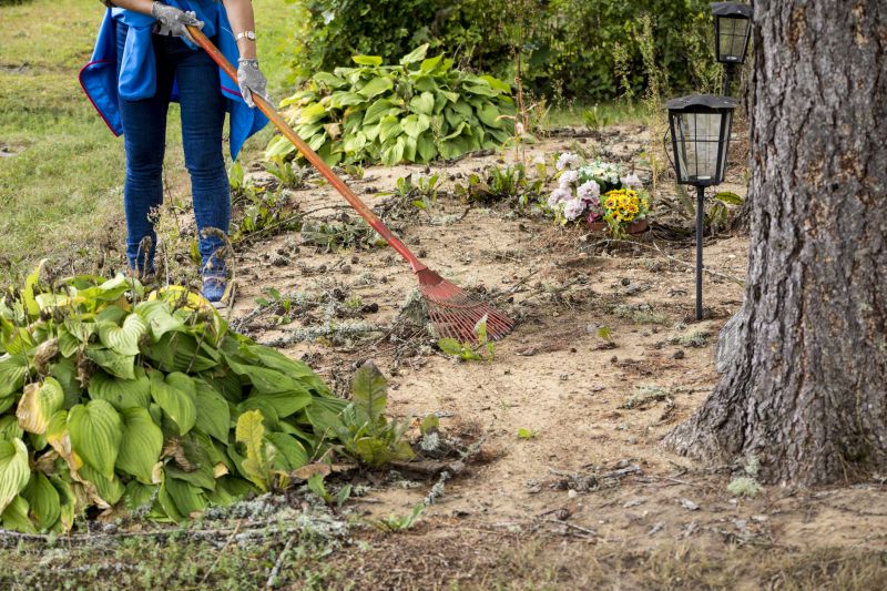 Clearing Land in Spring